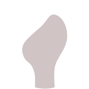 Ortodontica